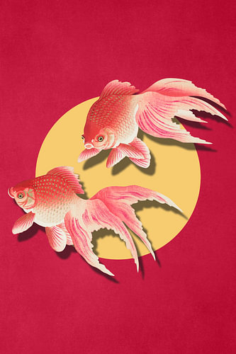 Goldfish, 3D