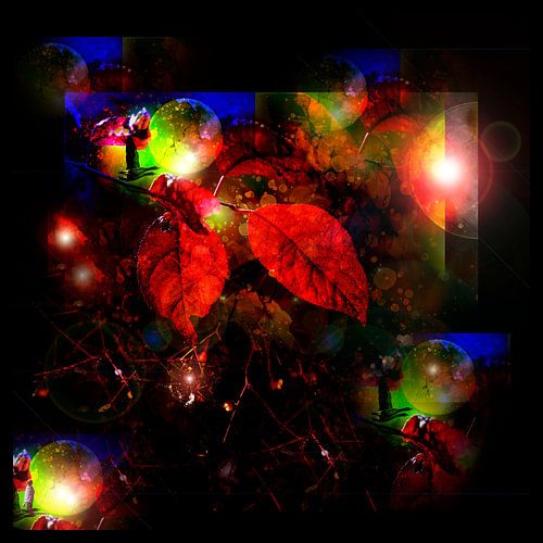 BLENDING SUMMER WHEN AUTUMN LEAVES