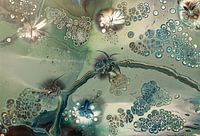 Underwater fairies.