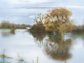 Weitreichende Ausdehnung des Flusses IJssel (2) von Suzan Brands