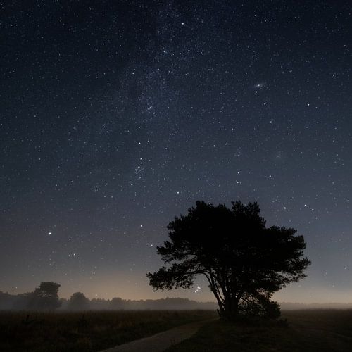 Winter melkweg Veluwe