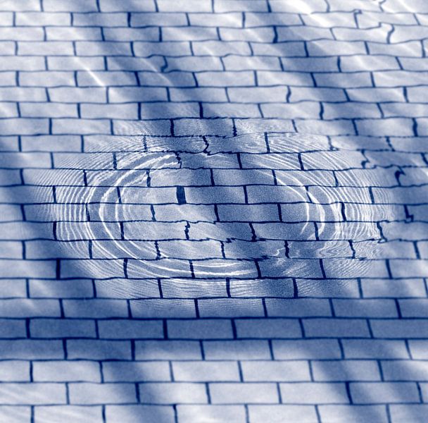 Transparency#2 Circle by Bob Karhof