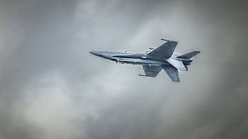 Hornet 18 c