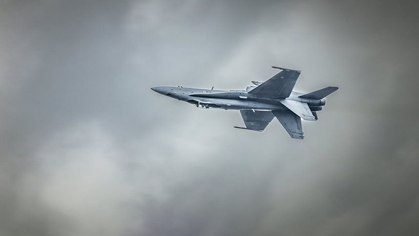 Hornet 18 c by Freddy Hoevers