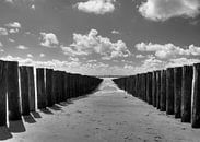 Breakwater beach Zoutelande by MSP Canvas thumbnail