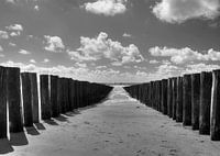 Golfbreker strand Zoutelande