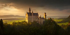 Kasteel Neuschwanstein van Wojciech Kruczynski