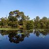 Reflecties bij de Oisterwijkse bossen en vennen sur Nel Diepstraten