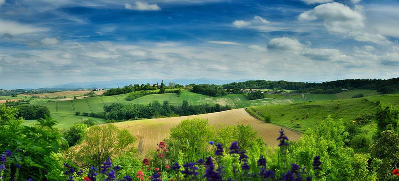 Uitzicht op de Pyreneeën van Rob Wareman Fotografie