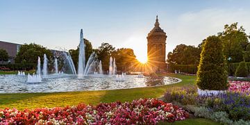 Friedrichsplatz in Mannheim bei Sonnenuntergang von Werner Dieterich