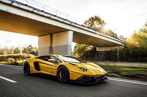 Lamborghini Aventador LP700-4 Mansory van Bas Fransen