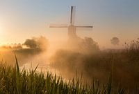 Mill in the fog