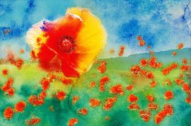 Samenwerking zoon in Mohn van Artistdesign