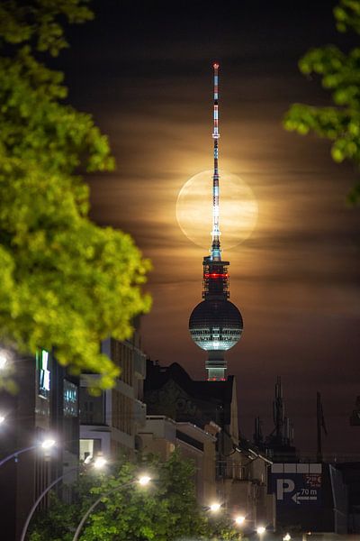 Full moon at Berlin by Salke Hartung