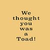 Brother where are thou - We thought you was a Toad | Movie Quote Art by Maarten Lans