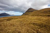 Funningsfjørður Îles Féroé - Fjord, prairies, montagnes par Remco Bosshard Aperçu