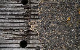 Wood