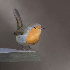 Watercolor robin on shelf by Emmy Van der knokke