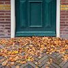 Herfstbladeren van MMFoto