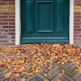 Autumn leaves by MMFoto