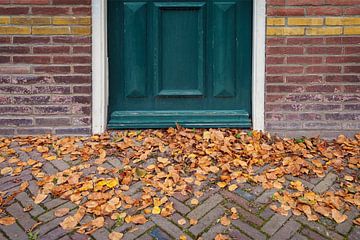 Herfstbladeren
