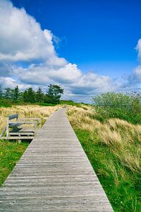 Houten loopbrug door de duinen bij Föhr van Friedhelm Peters