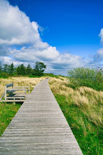 Holzsteg durch die Dünen bei Föhr