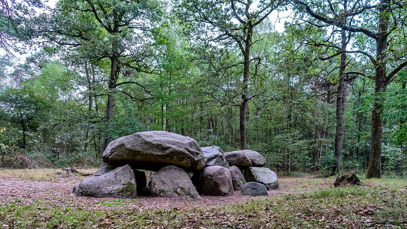 Dolmen auf einer Waldlichtung von John Duurkoop