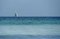 Vleugels van Wind op de Verre Horizon van Gerry van Roosmalen thumbnail