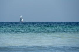 Flügel des Windes am fernen Horizont