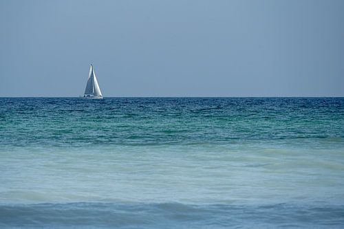 Vleugels van Wind op de Verre Horizon