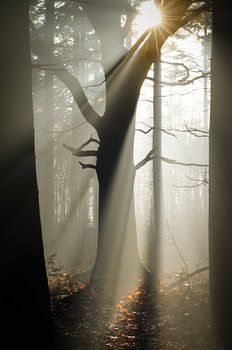 Leben ist, was man daraus macht