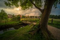 Sonsbeek
