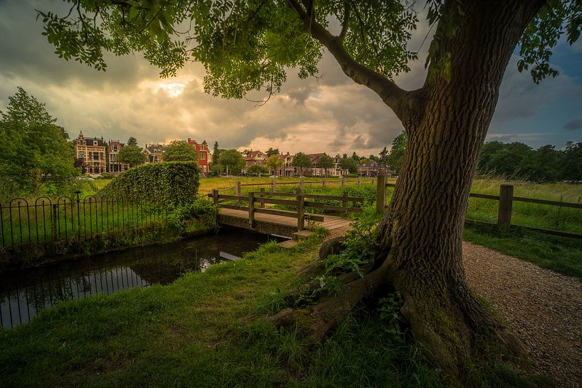 Sonsbeek by Paul Glastra Photography