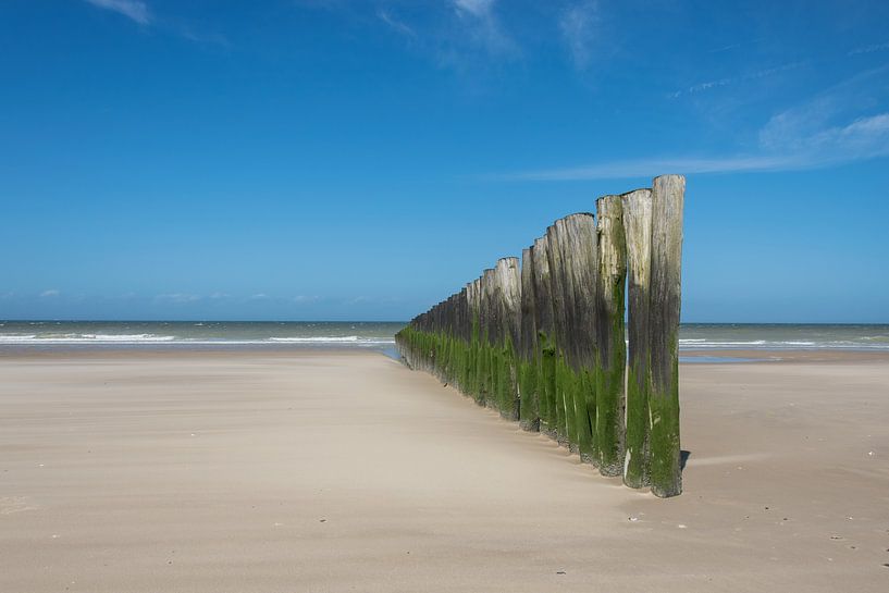 Beach posts Sangatte by Judith Schrijver