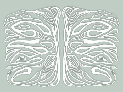 Life symmetries, wit