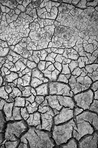 Cracked Earth in Black and White
