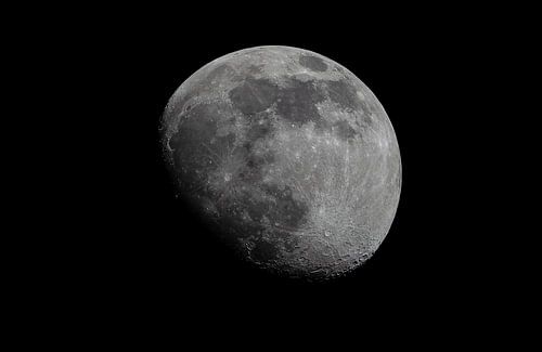 Gibbous à la cire de lune