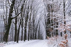 Winters