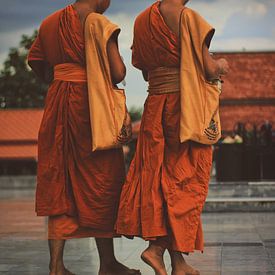 Twee boeddhisten in Thailand van Lisette van Oosterhout