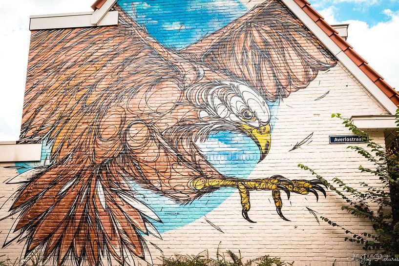 Murals Sluiswijk Deventer by N-Joy Pictures