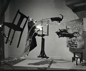 Salvador Dali, Philippe Halsman