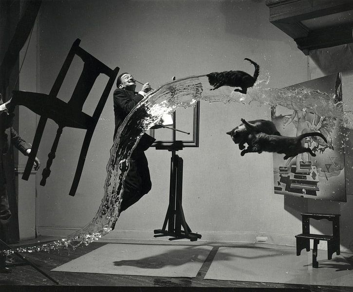 Salvador Dali by Het Archief