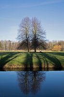 Landgoed Marquette spiegeling bomen
