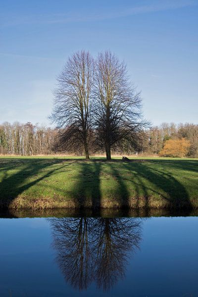 Landgoed Marquette spiegeling bomen by CreaBrig Fotografie