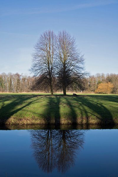 Landgoed Marquette spiegeling bomen van CreaBrig Fotografie