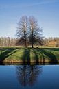 Landgoed Marquette spiegeling bomen van CreaBrig Fotografie thumbnail