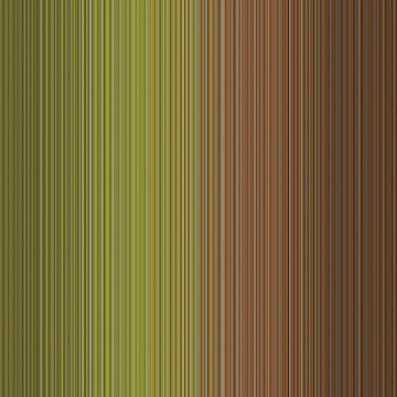 Moss light in the shade by Shana Kersten