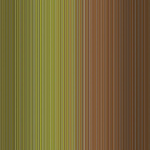 Mooslicht im Schatten