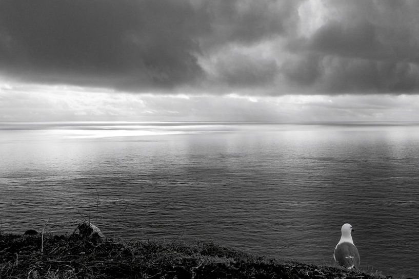 View of the Atlantic Ocean by Christine Bässler